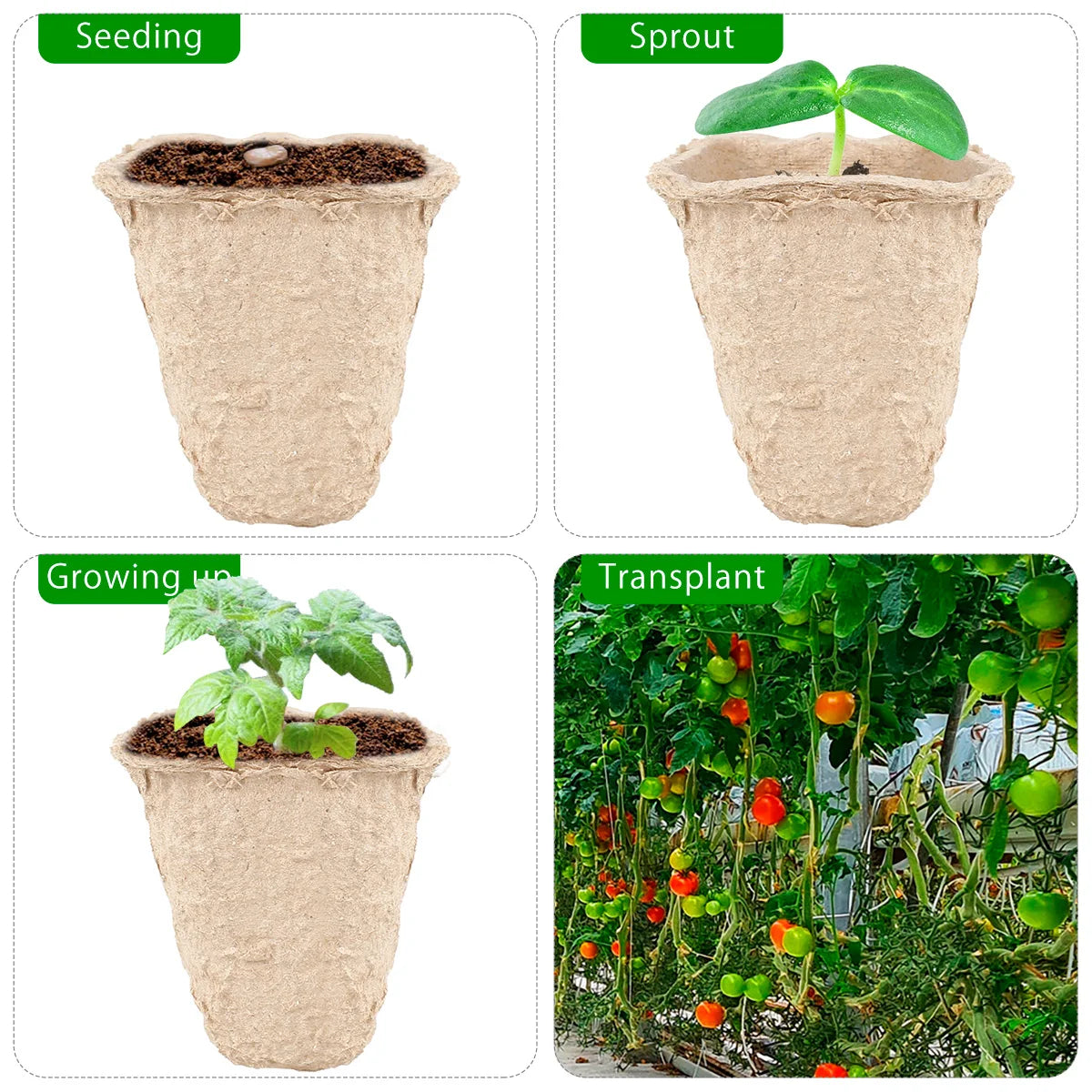 10PCS Peat Pots Plant Nursery Tray - Biodegradable Material for Sprouting Seedling - 12 Grids Seedling Germination Planter